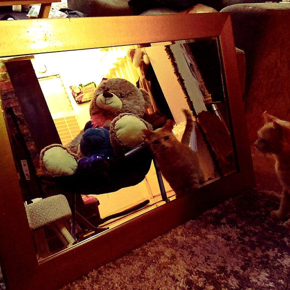 Mirror - Picture 2 of 5